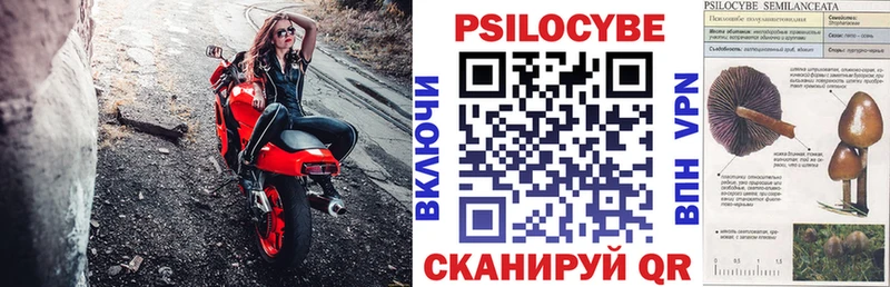 Псилоцибиновые грибы прущие грибы  Печора 
